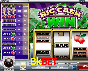 Sistemas de Segurança Bkbet